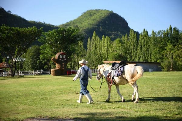 Preventing Common Horse Health Issues