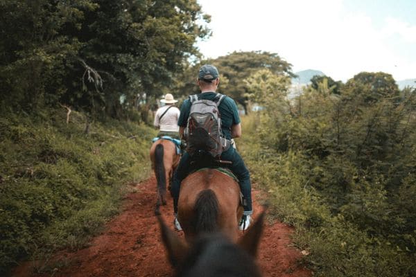 Trail Riding Essentials: Safety Tips and Preparation