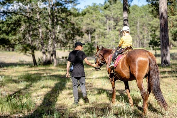 Riding Instructor Position