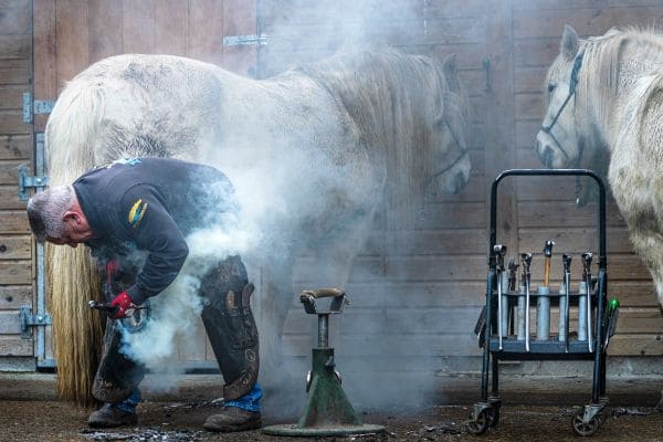 Farrier Demo