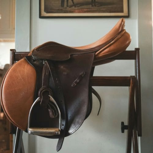 Saddle Image 2